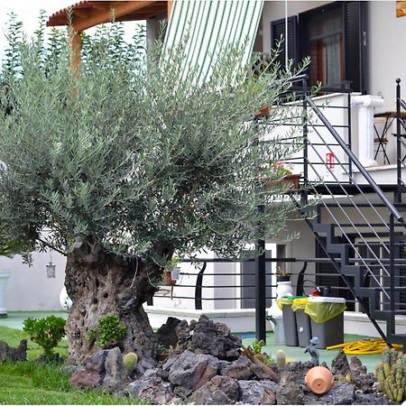 Pompei Gryllus Bed & Breakfast Luaran gambar