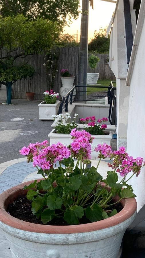 Pompei Gryllus Bed & Breakfast Luaran gambar