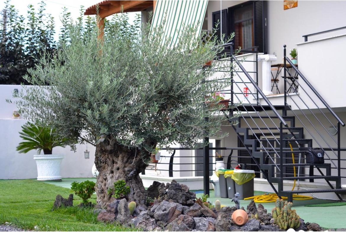 Pompei Gryllus Bed & Breakfast Luaran gambar